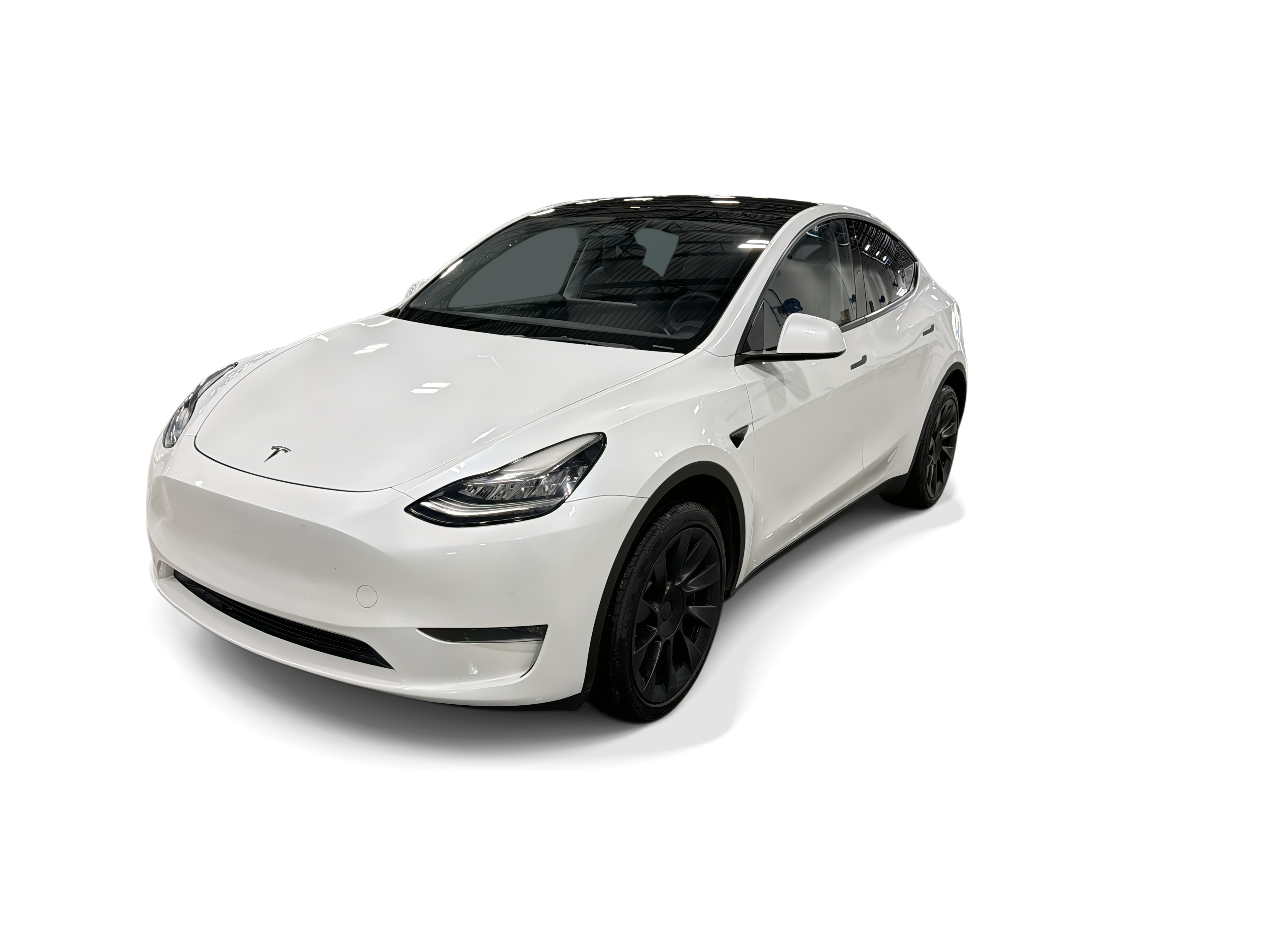 tesla model y 2023 7SAYGDEE6PA099400 image